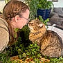 cat, person, braided_hair, glasses, indoor, plant, greenery, stool, tabby_cat, furniture, face, pet, curious, close_up, patterned_fabric, cozy, interaction, animal, home, portrait