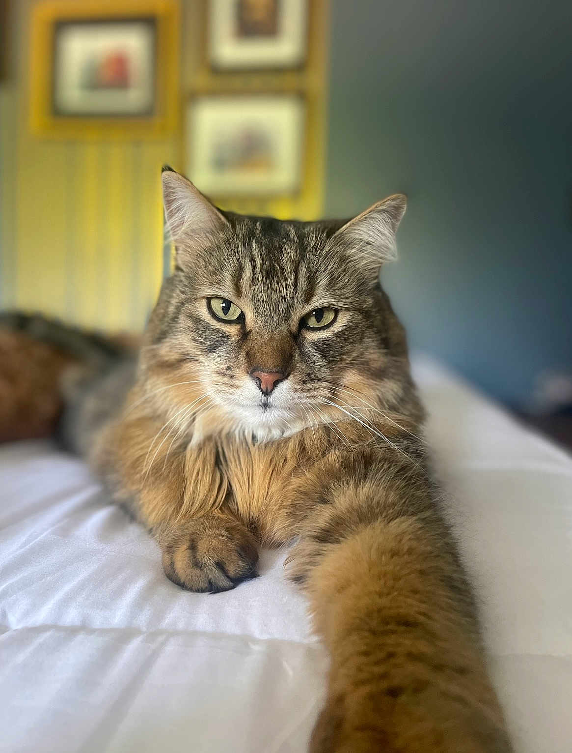 Winston