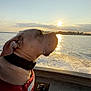 dog, sunset, water, boat, life_jacket, collar, reflection, sky, clouds, waves, outdoor, canine, pet, nature, animal, transportation, travel, sun, scenic, peaceful