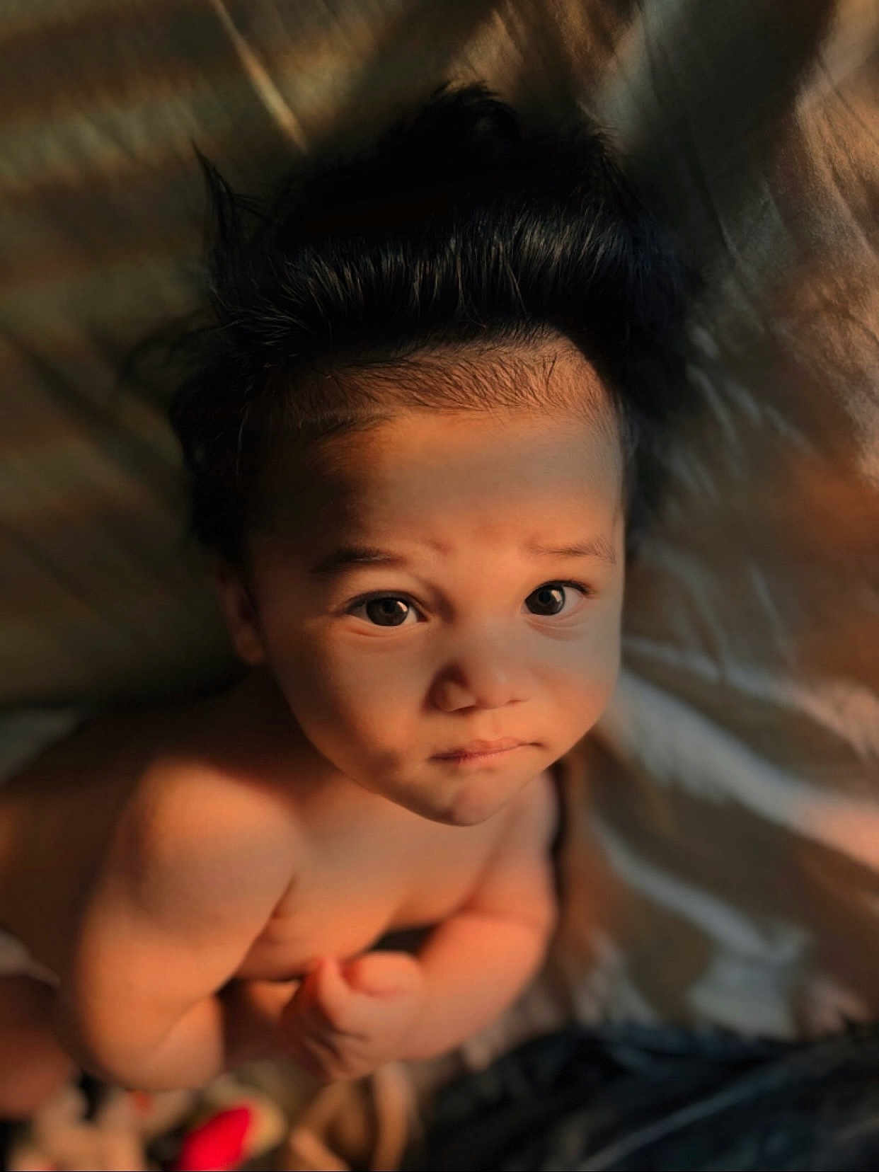 Wally a rejoint le concours — aidez-le/la à gagner de superbes lots ! baby, child, close_up, curious, cute, expression, eyes, face, hair, human, indoors, infant, light, person, portrait, shadow, skin, soft_light, warm_tones, young