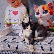 Felix participe au concours pour gagner de l'argent avec cette photo : cat, doll, pillow, bed, blanket, fabric, pattern, black_and_white, toy, indoor, cute, animal, plush, resting, soft, decor, vintage, child, colorful, nap