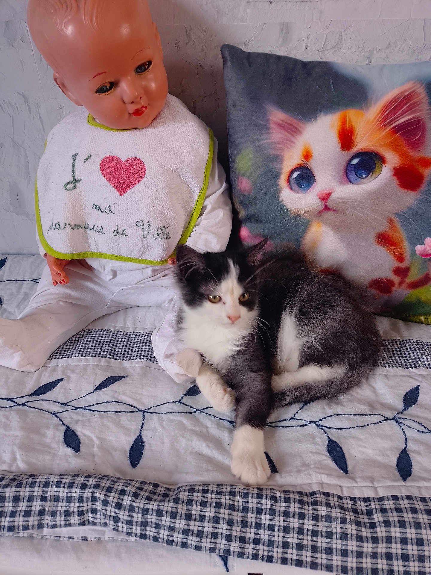 Felix participe au concours pour gagner de l'argent avec cette photo : cat, doll, pillow, bed, blanket, fabric, pattern, black_and_white, toy, indoor, cute, animal, plush, resting, soft, decor, vintage, child, colorful, nap