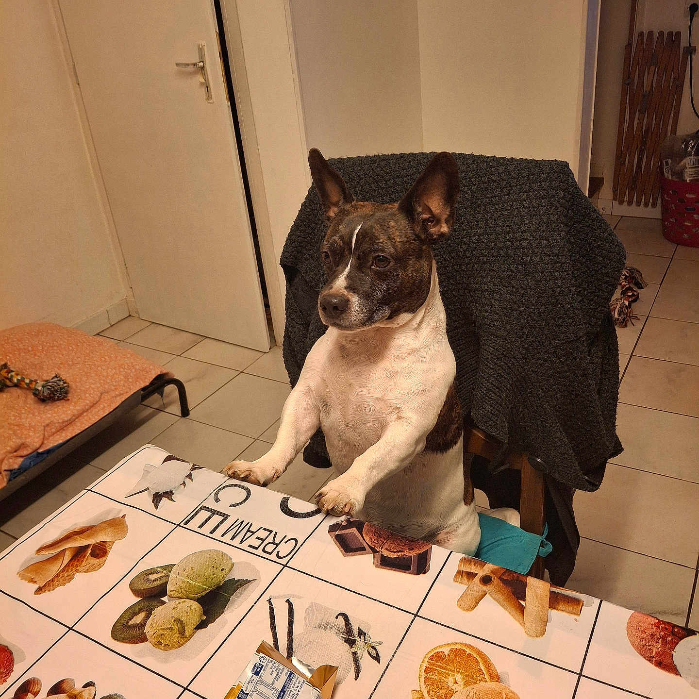 Milo