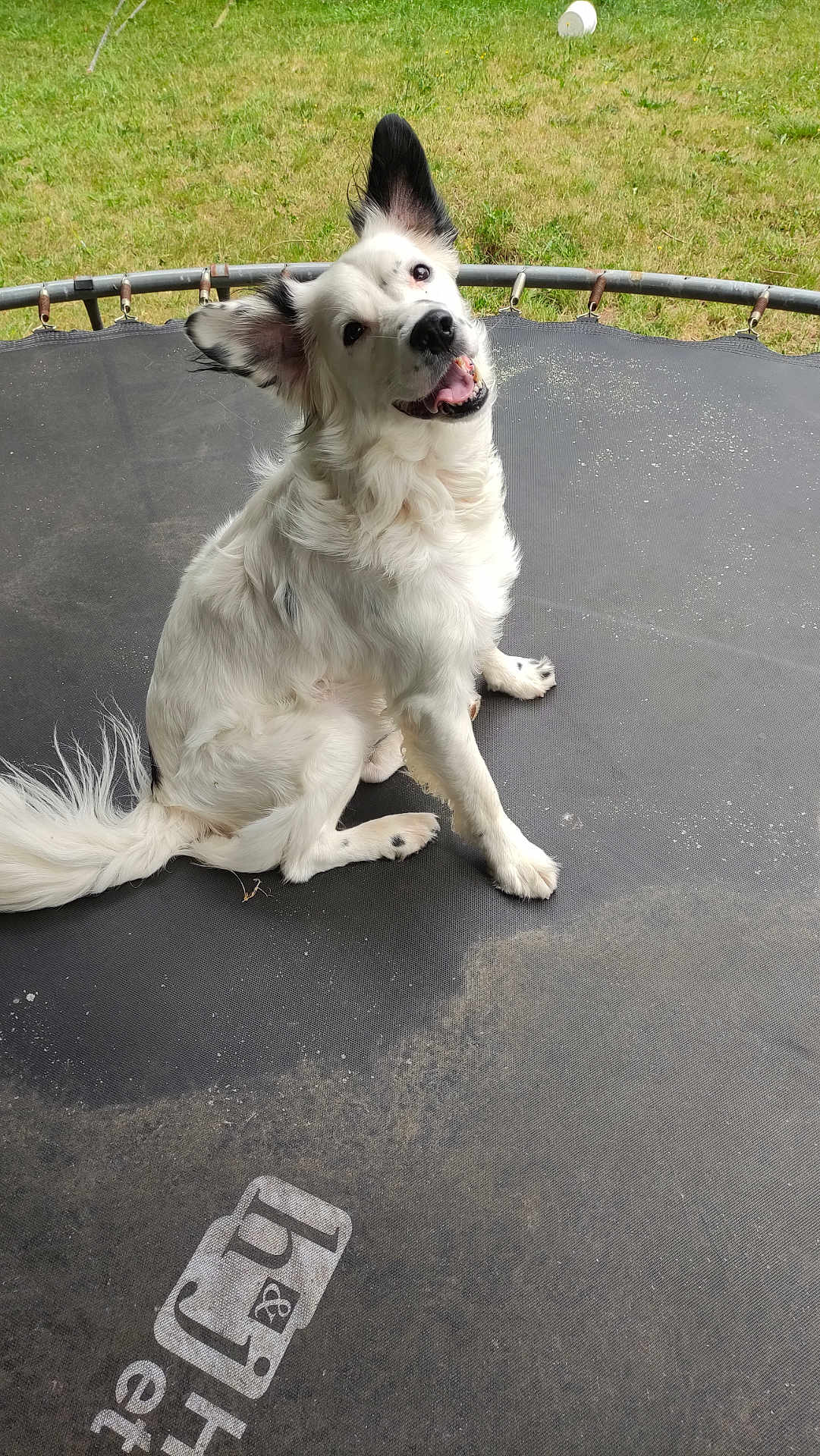 Marley