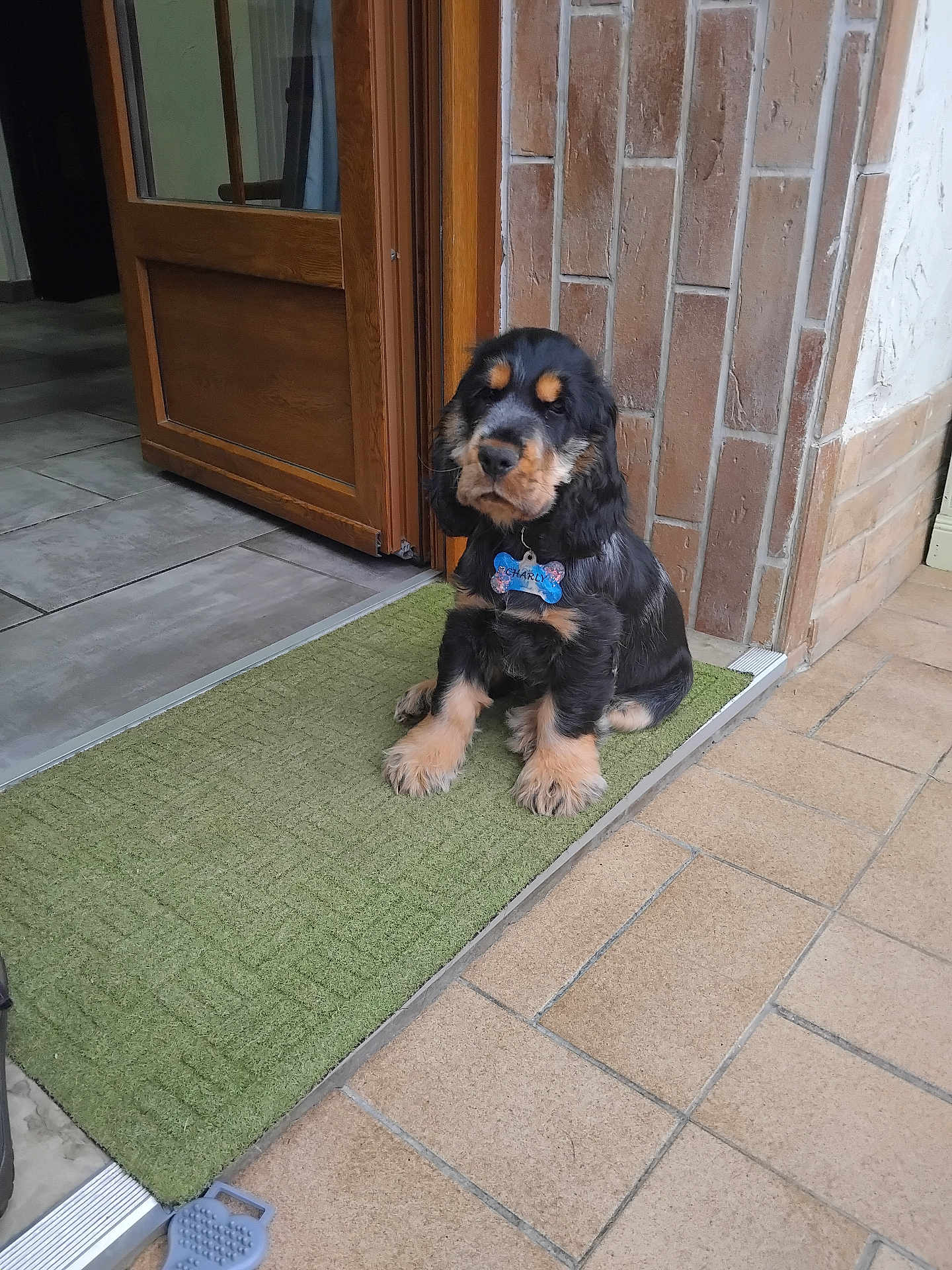 Charly