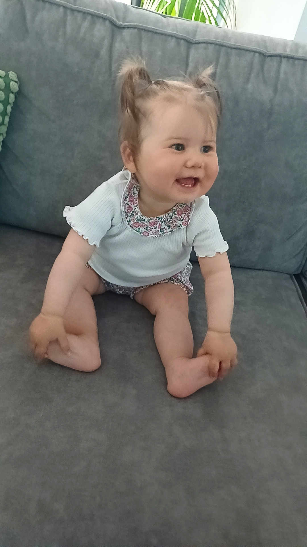 Alba participe au concours pour gagner de l'argent avec cette photo : baby, child, smiling, pigtails, white_top, floral_collar, shorts, couch, gray_couch, indoor, happy, sitting, cute, hands, feet, skin, face, person, infant, tooth