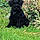 Athos