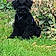 Athos