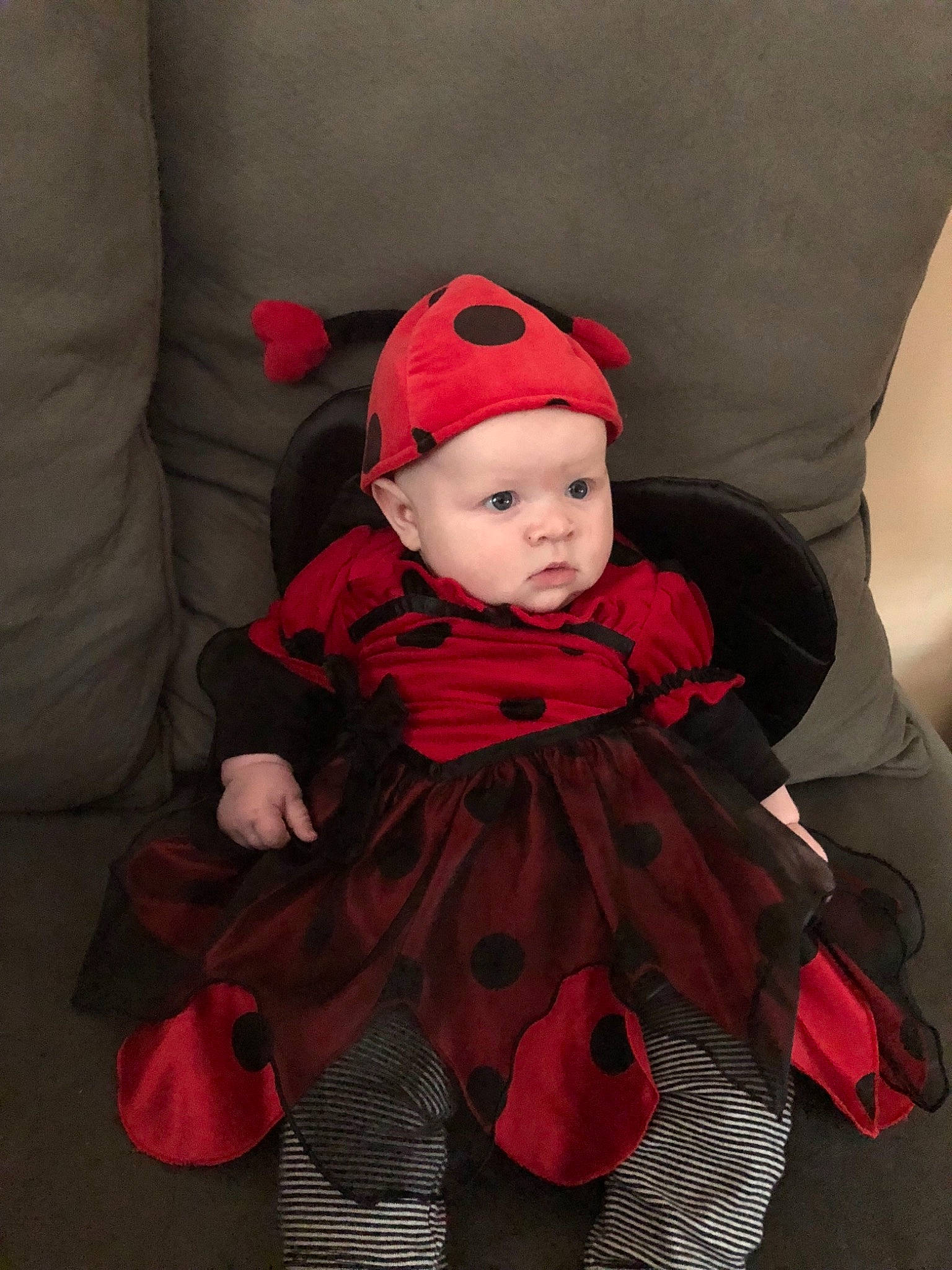 Noella is registered to the contest to win money with this photo: baby, child, costume, headgear, headwear, person, red, toddler