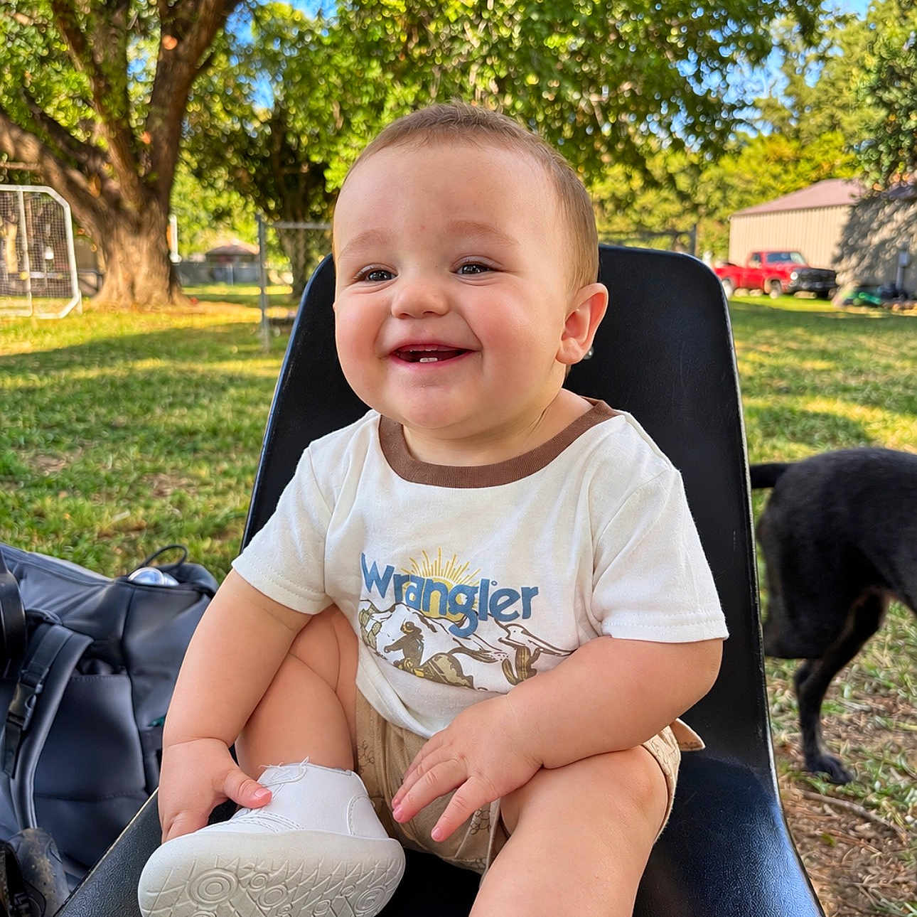 Bayler is registered to the contest to win money with this photo: baby, child, smiling, sitting, portrait, outdoor, backyard, tree, grass, dog, pet, stroller, sneaker, white_shirt, clothing, sunlight, chair, nature, happy, face