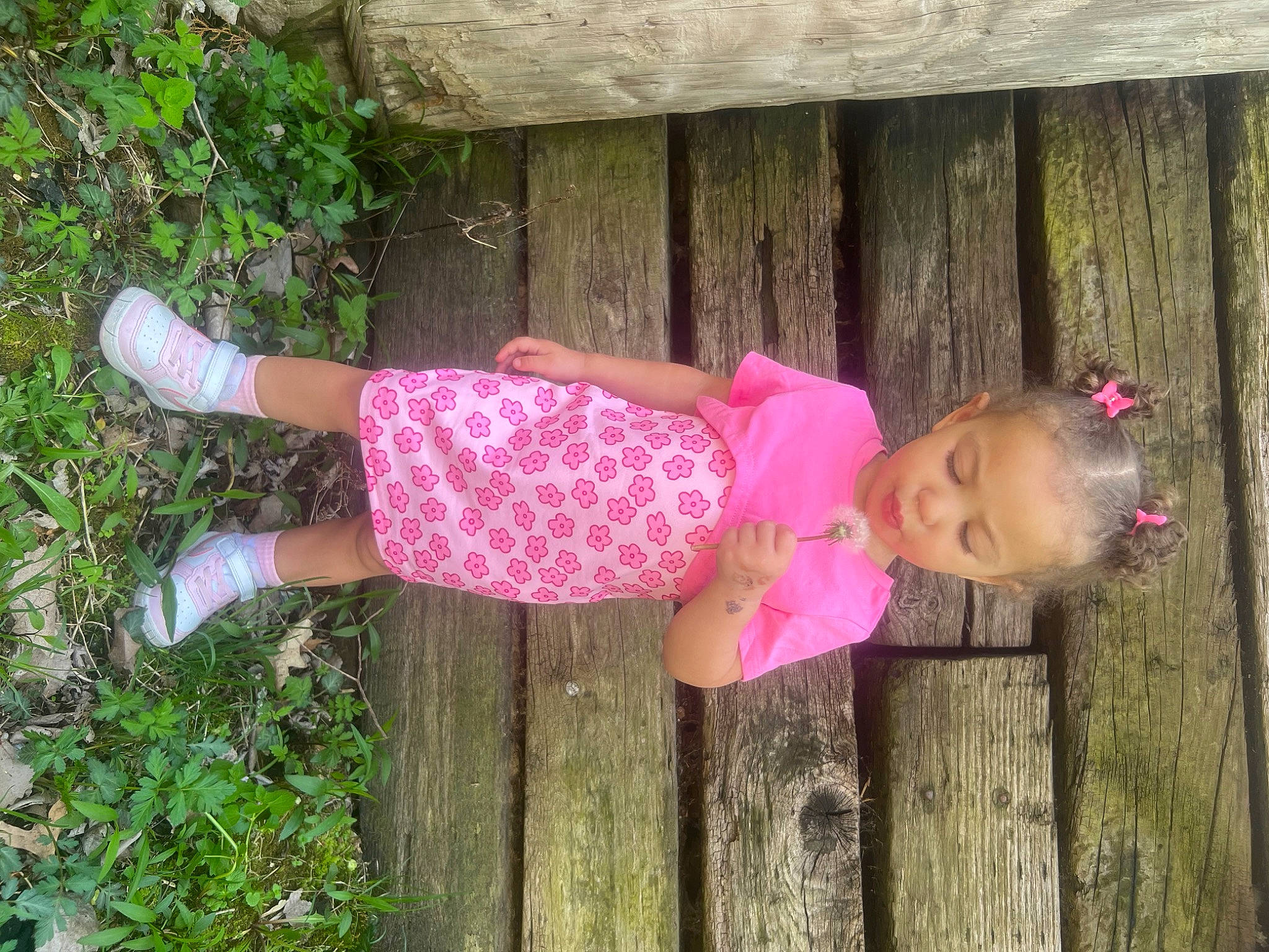 Jesslyn is registered to the contest to win money with this photo: baby, baby_toddler_clothing, child, fence, fun, grass, grass_family, happy, human_leg, leisure, magenta, pattern, people_in_nature, person, pink, plant, thigh, toddler, tree, wood