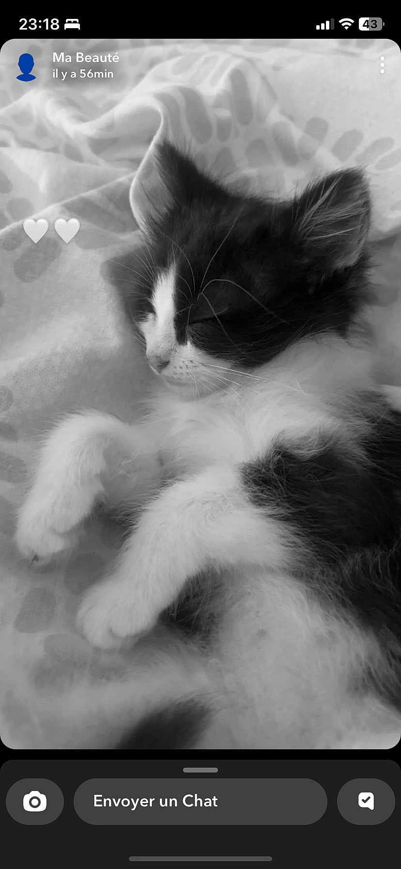 Nala participe au concours pour gagner de l'argent avec cette photo : kitten, sleeping, black_and_white, fur, pet, cute, animal, soft, blanket, resting, whiskers, paws, young, domestic_cat, feline, cozy, closeup, indoor, peaceful, adorable