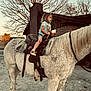 child, horse, saddle, riding, outdoors, barn, brick_chimney, tree, autumn, leaves, toddler, portrait, slippers, legs, mane, gravel, sunset, casual_clothing, cute, stable