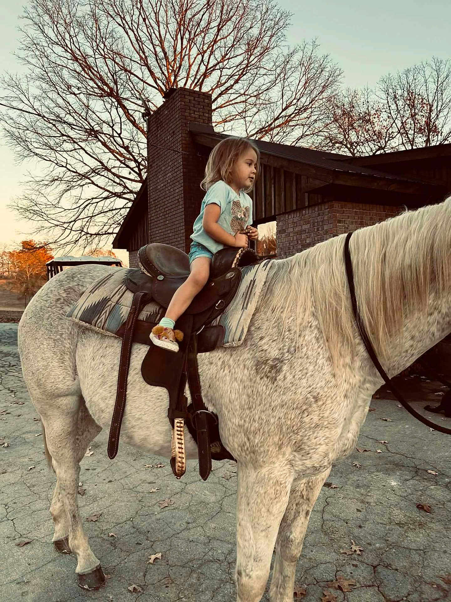 Haizelynn is registered to the contest to win money with this photo: child, horse, saddle, riding, outdoors, barn, brick_chimney, tree, autumn, leaves, toddler, portrait, slippers, legs, mane, gravel, sunset, casual_clothing, cute, stable