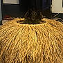 animal, basket, black_dog, brown, container, cozy, curious, cute, dog, domestic, ears, face, furniture, home, indoor, looking, pet, snout, straw, texture