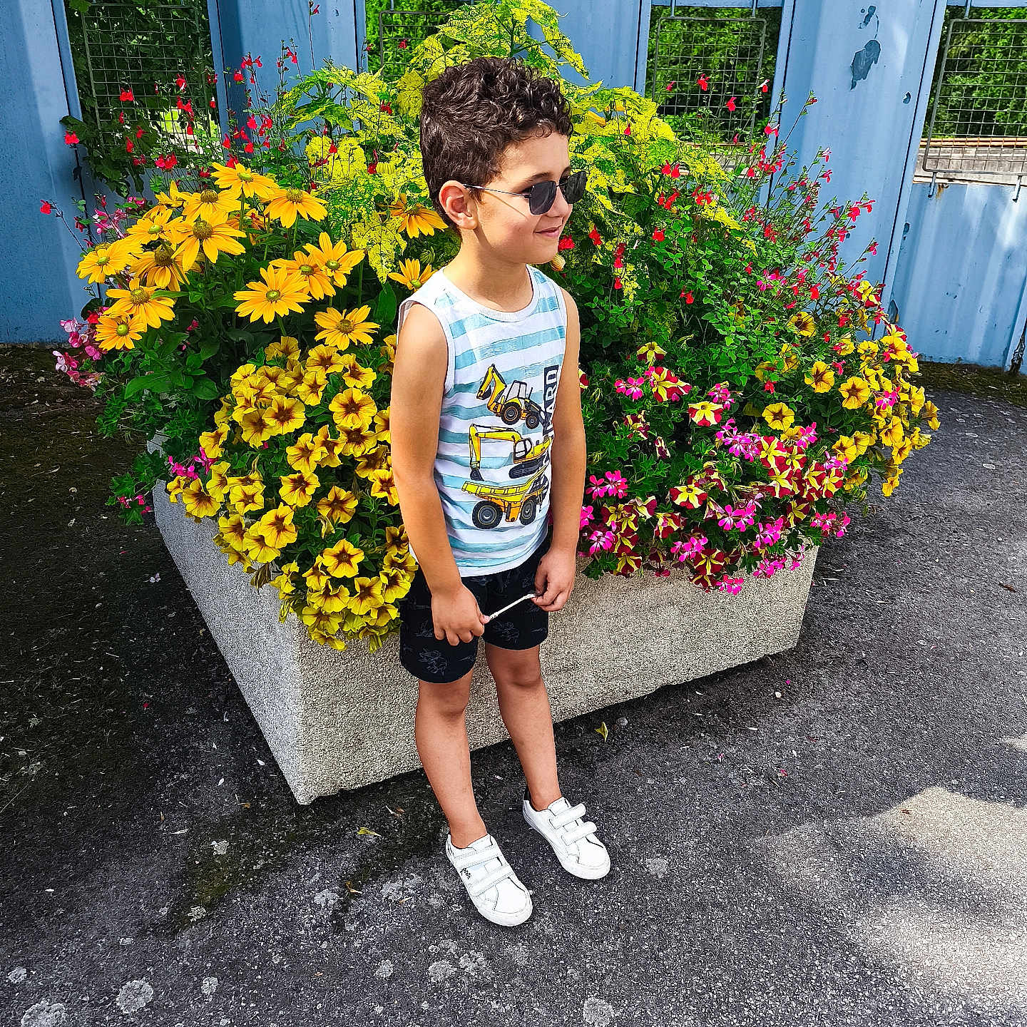 Taim participe au concours pour gagner de l'argent avec cette photo : blue_wall, boy, casual_clothing, child, concrete_ground, curly_hair, flower_planter, green_leaves, outdoor, pink_flowers, red_flowers, shorts, smiling, standing, sunglasses, sunny, tank_top, urban, white_shoes, yellow_flowers
