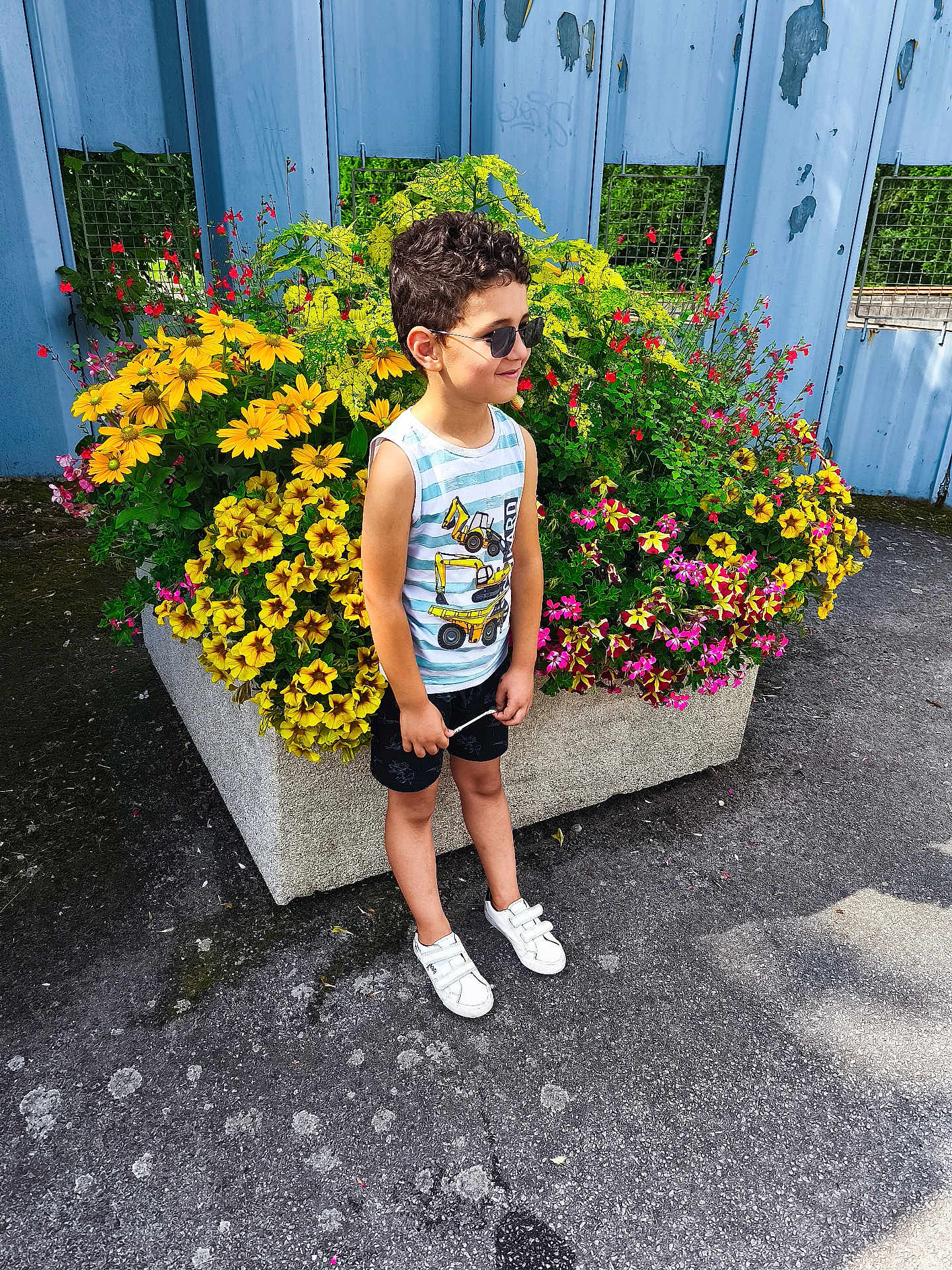 Taim participe au concours pour gagner de l'argent avec cette photo : child, boy, curly_hair, sunglasses, tank_top, shorts, white_shoes, flower_planter, yellow_flowers, pink_flowers, red_flowers, green_leaves, concrete_ground, blue_wall, urban, outdoor, sunny, standing, smiling, casual_clothing