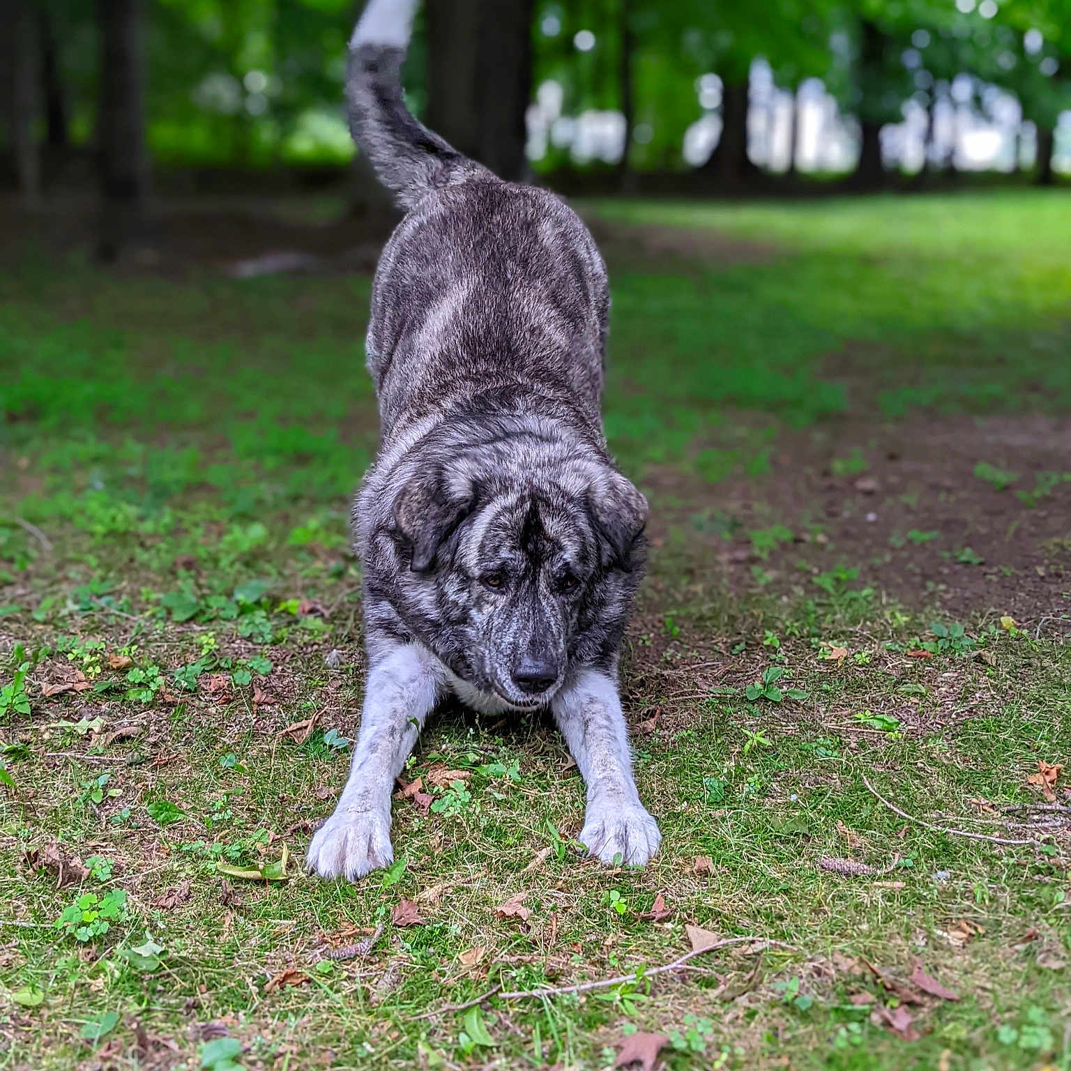 Luna