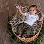 baby, infant, basket, fur, greenery, wood_floor, clothing, white_onesie, olive_pants, barefoot, cute, lying_down, indoor, portrait, child, small_hands, small_feet, expression, curious, cozy
