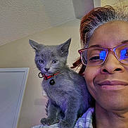 Pipsqueak joined the competition — help win amazing prizes! kitten, cat, person, glasses, shoulder, collar, bell, indoor, portrait, smile, gray_fur, plaid_clothing, face, pet, reflection, calm, home, light, wall, door