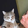 Alex Wrighter is registered to the contest to win money with this photo: cat, tabby_cat, pet, animal, feline, striped_fur, white_chest, whiskers, ears, green_eyes, sitting, being_held, person, face, portrait, close_up, indoors, cuddle, human_companion, funny_expression