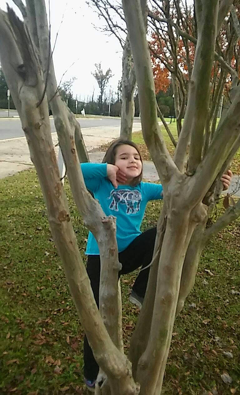 Mercedes is registered to the contest to win money with this photo: botany, branch, forest, grass, grass_family, happy, joy, leisure, people_in_nature, person, plant, shorts, sky, soil, t_shirt, terrestrial_plant, tree, trunk, twig, wood