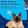advertisement, animal, blue_background, blue_eyes, calming, cat, close_up, cute, dropper_bottle, health_supplement, hemp, lying_down, pet, product_bottle, relaxed, siamese_cat, stress_relief, tension_reduction, text_overlay, thought_bubble