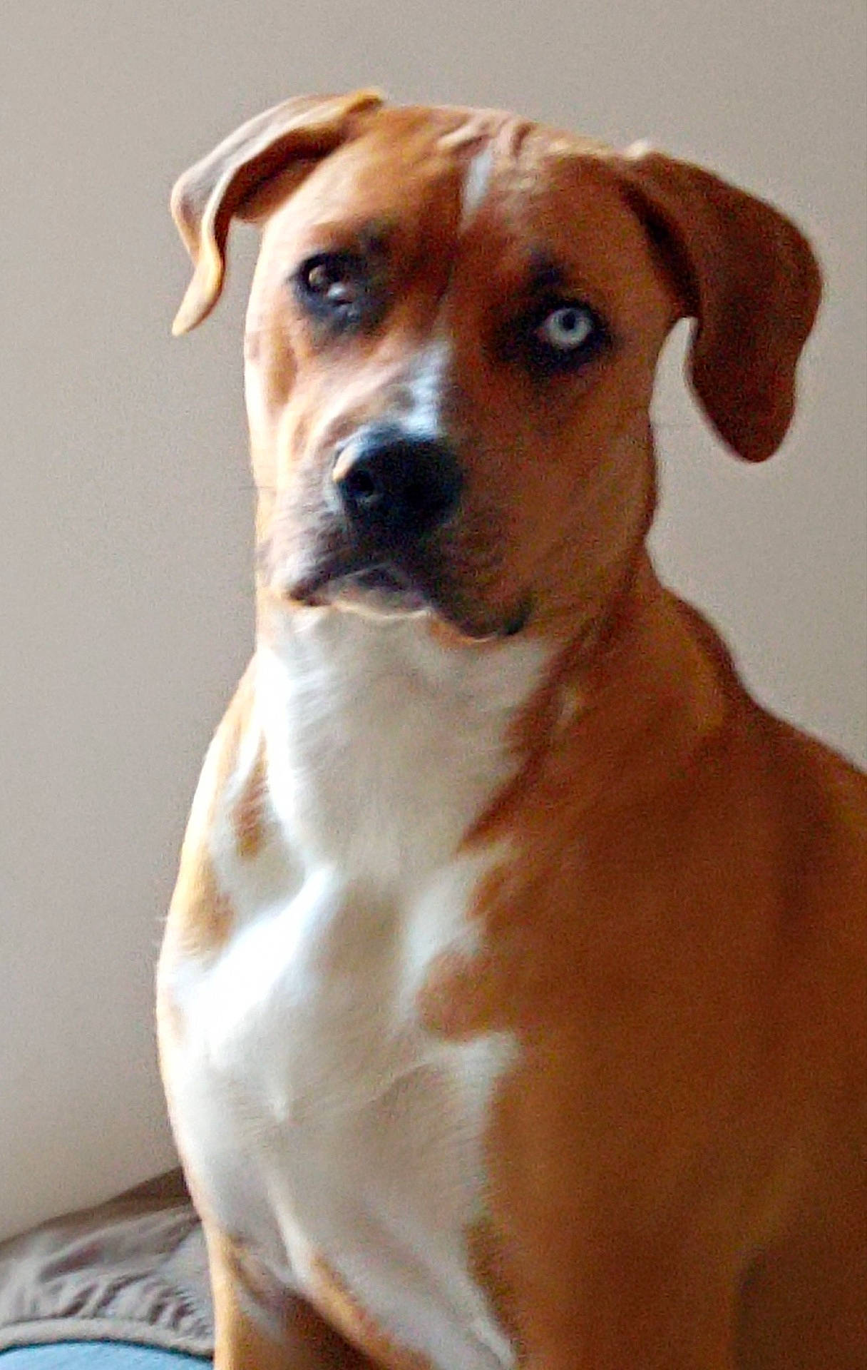 Xena