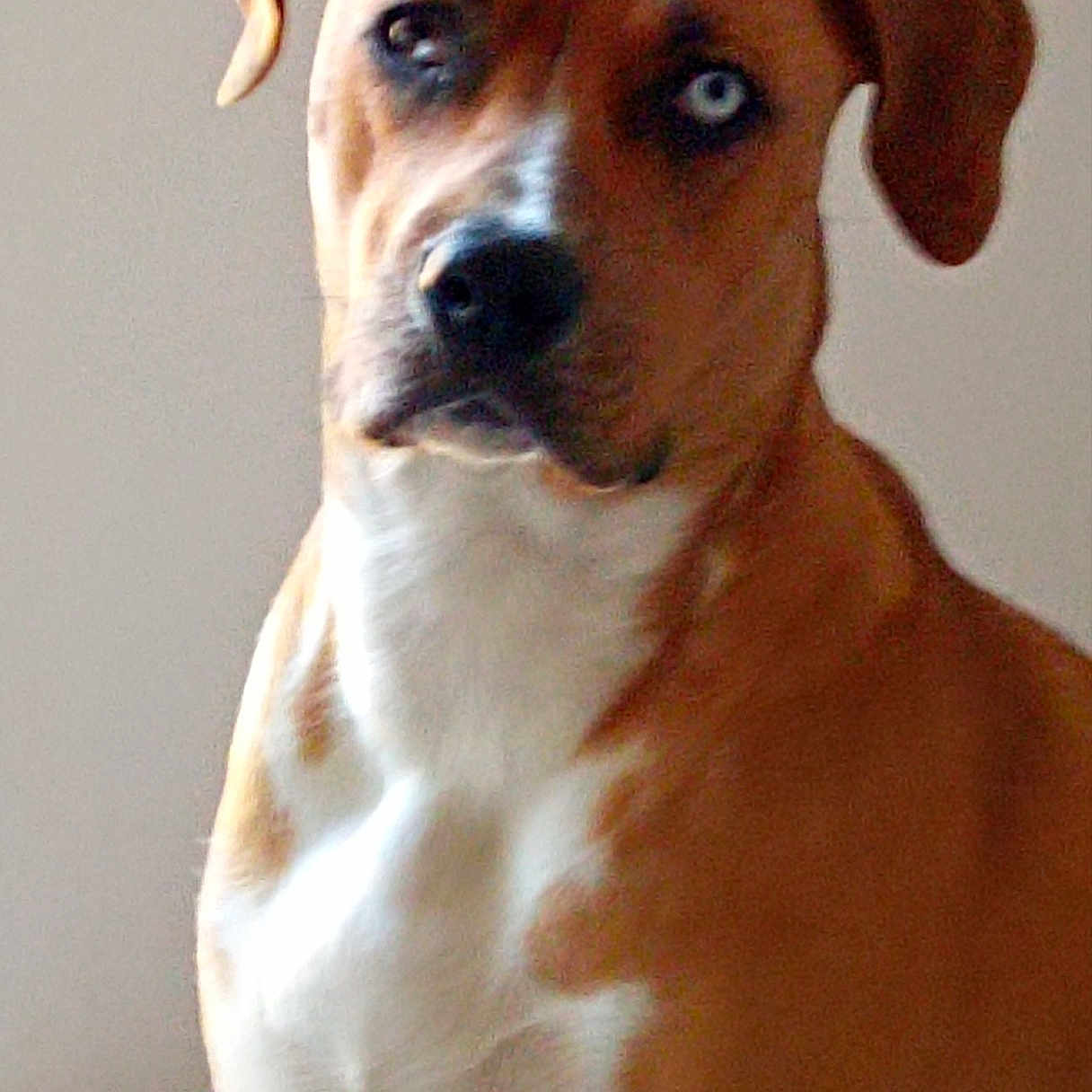 Xena