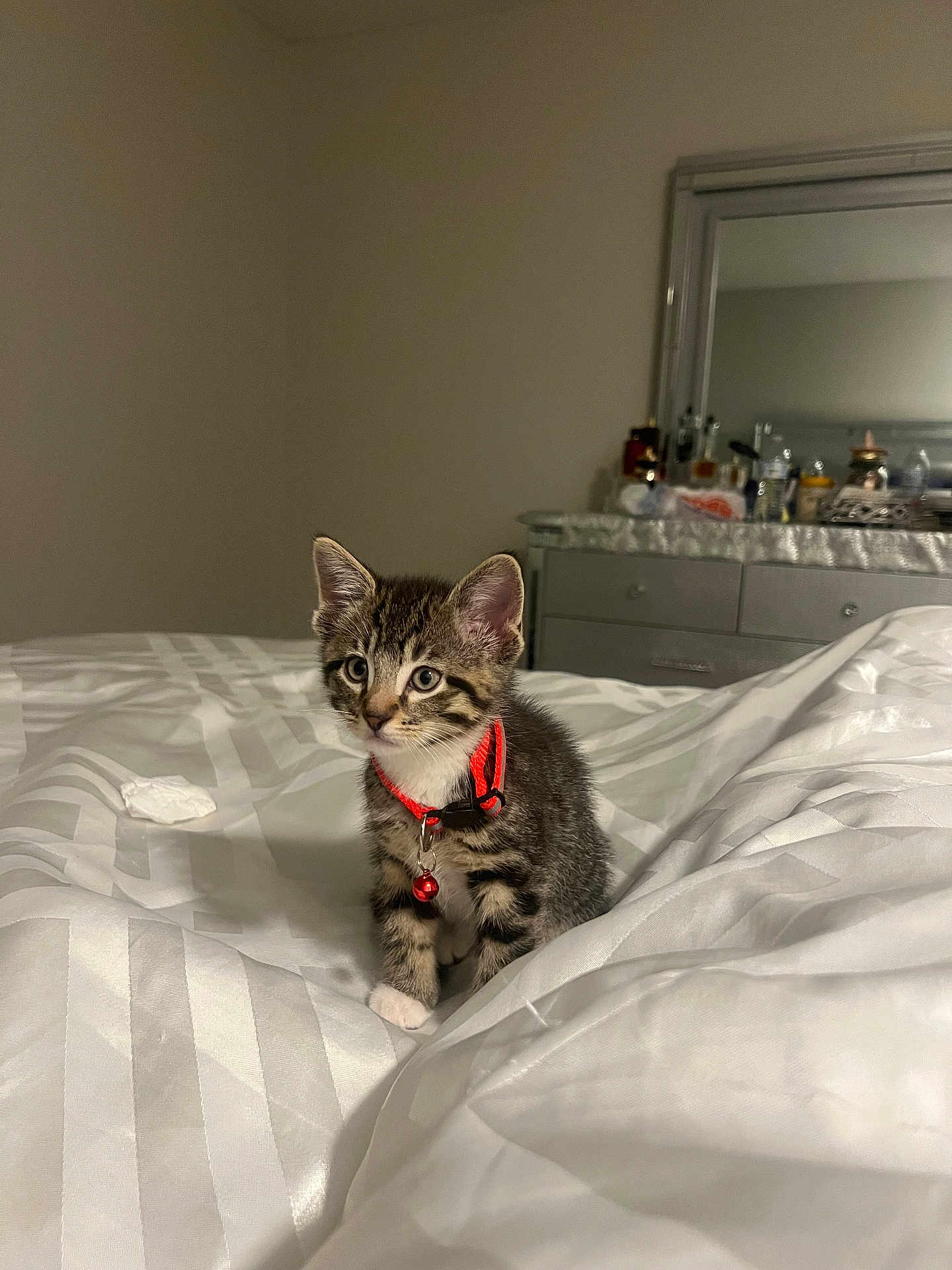 Milo