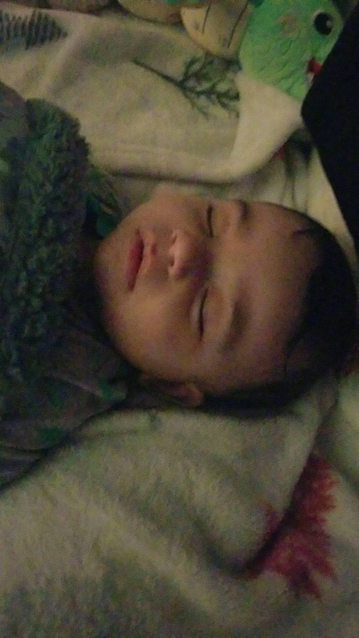 Marcellus joined the competition — help win amazing prizes! baby, bedtime, cheek, child, cloud, comfort, flesh, fur, grass, happy, iris, linens, mouth, nap, nose, person, room, sleep, square, tints_and_shades