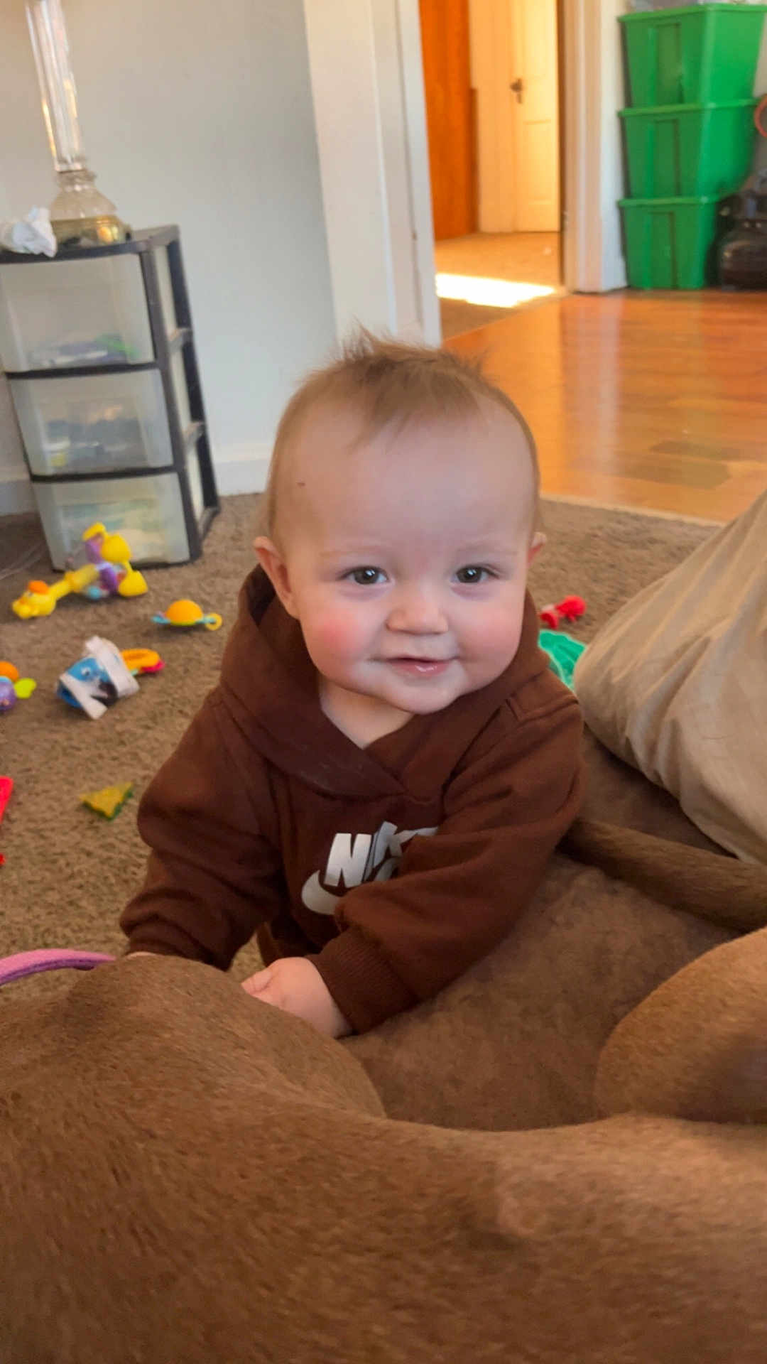Kash joined the competition — help win amazing prizes! child, baby, infant, smiling, hoodie, nike_logo, toys, carpet, living_room, doorway, hardwood_floor, storage_drawer, green_bins, plush, dog, portrait, playtime, cheeky_smile, crawling, floor