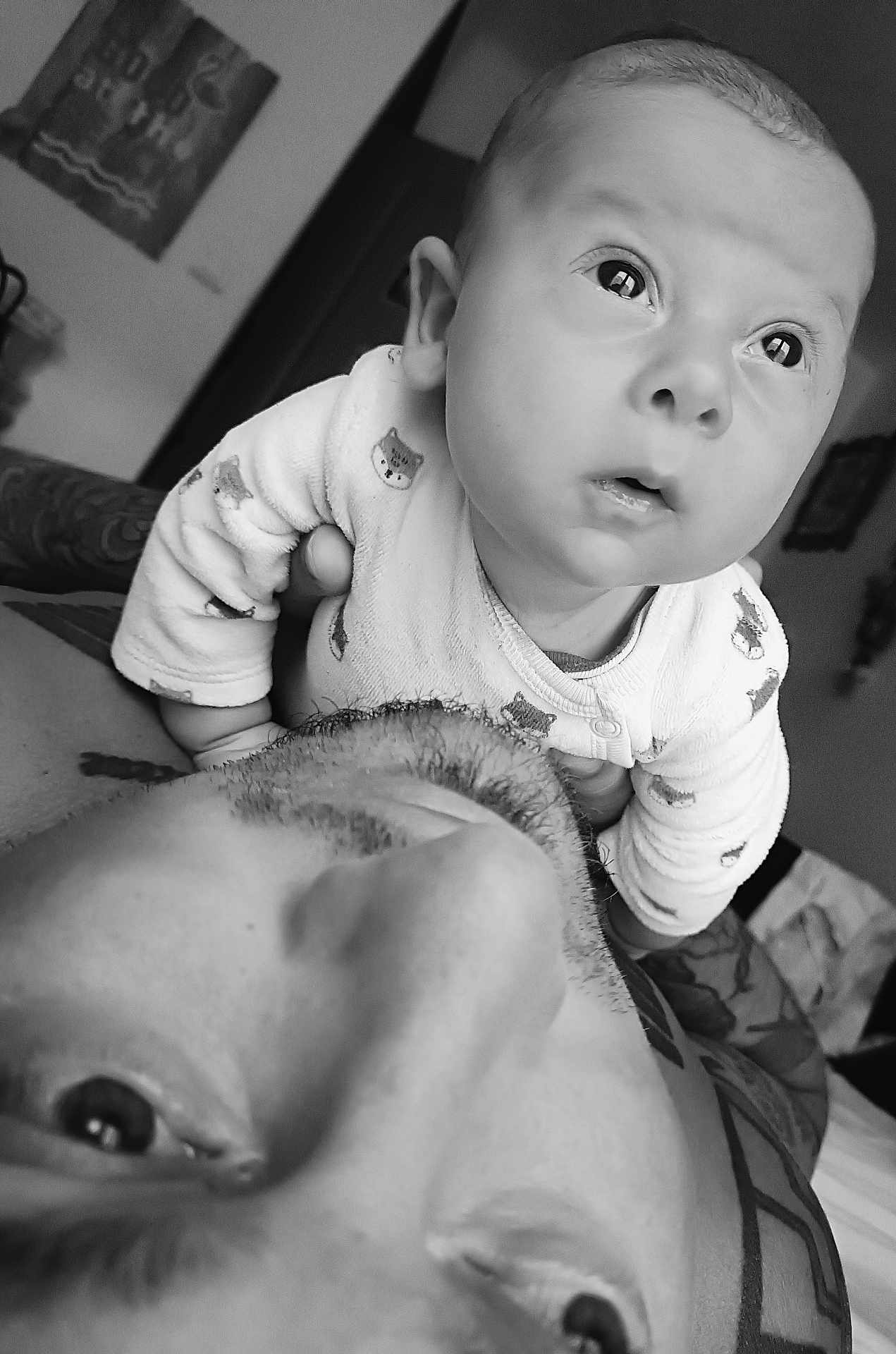 Maïwen participe au concours pour gagner de l'argent avec cette photo : baby, adult, face, black_and_white, portrait, close_up, expression, skin, hand, tattoo, curious, bonding, indoor, person, clothing, eyes, head, family, love, intimate