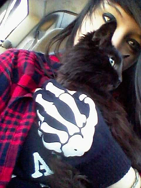 Sheba is registered to the contest to win money with this photo: bag, bangs, black_hair, car_seat, carnivore, cat, comfort, companion_dog, cool, eye, felidae, gesture, happy, human_leg, pattern, small_to_medium_sized_cats, snout, thigh, vehicle_door, whiskers