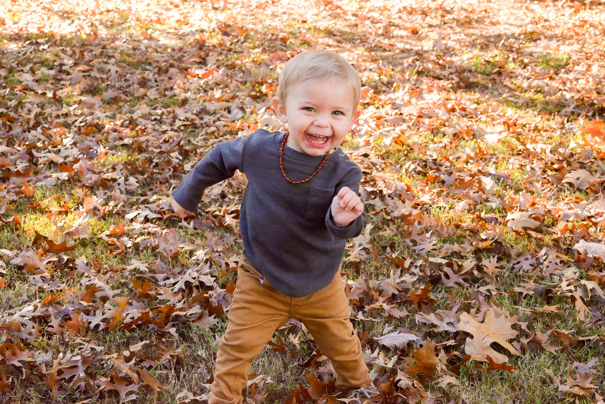 Clayton is registered to the contest to win money with this photo: autumn, baby, baby_laughing, baby_toddler_clothing, cheek, child, deciduous, facial_expression, groundcover, happy, human, human_body, laugh, leaf, mouth, nose, overall, people_in_nature, person, toddler