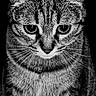 cat, tabby, black_and_white, close_up, portrait, whiskers, fur, animal, pet, eyes, face, striped, mammal, feline, indoor, detailed, sharp, texture, black_background, cute