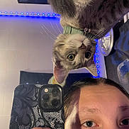 Kevin is registered to the contest to win money with this photo: selfie, cat, person, indoor, phone, mirror, blue_led_lights, curious, pet, collar, closeup, reflection, face, hand, smartphone, decor, whiskers, nose_piercing, camera, lifestyle
