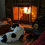 dog, fireplace, fire, rug, wood, indoor, cozy, pet, relaxing, home, carpet, warmth, black_and_white, animal, resting, interior, furniture, hearth, log, comfort