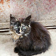 Picouic participe au concours pour gagner de l'argent avec cette photo :