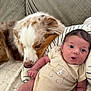baby, dog, pillow, couch, infant, pet, animal, resting, cute, expression, fur, clothing, striped_pillow, relaxing, indoor, closeup, comfort, friendship, sleeping_dog, human