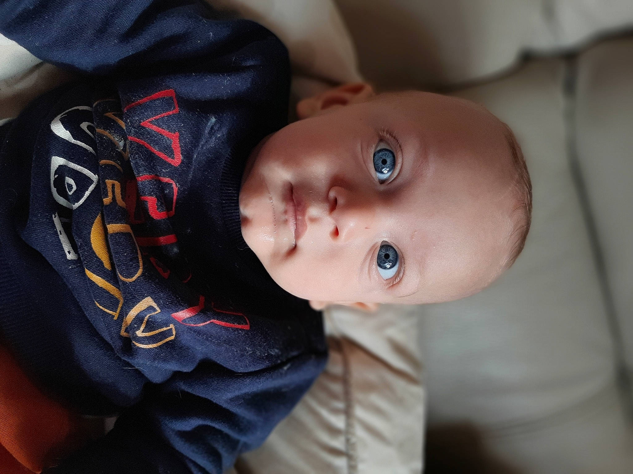 Noam participe au concours pour gagner de l'argent avec cette photo : baby, baby_products, baby_toddler_clothing, carmine, cheek, child, comfort, eyebrow, eyelash, lip, mouth, nose, person, plant, sitting, skin, sleeve, smile, toddler, tree