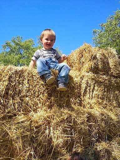 Léopold a rejoint le concours — aidez-le/la à gagner de superbes lots ! adaptation, agriculture, ecoregion, farmer, farmworker, field, fun, grass, grassland, happy, hay, joy, landscape, people_in_nature, person, plant, plantation, prairie, sky, soil