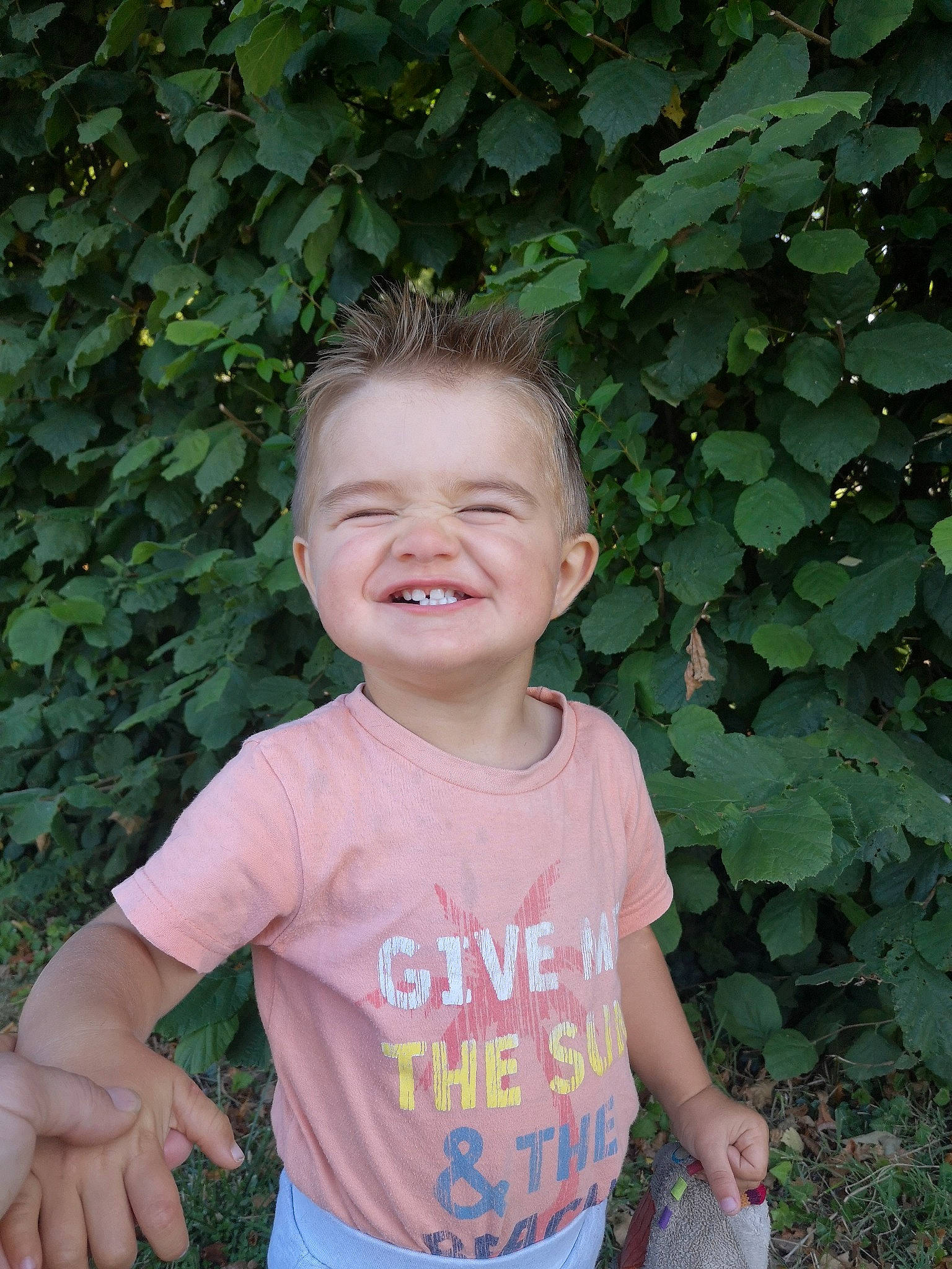 Léopold participe au concours pour gagner de l'argent avec cette photo : baby, baby_toddler_clothing, botany, child, face, fun, garden, grass, happy, head, joy, leisure, pattern, people_in_nature, person, plant, sitting, sleeve, smile, t_shirt