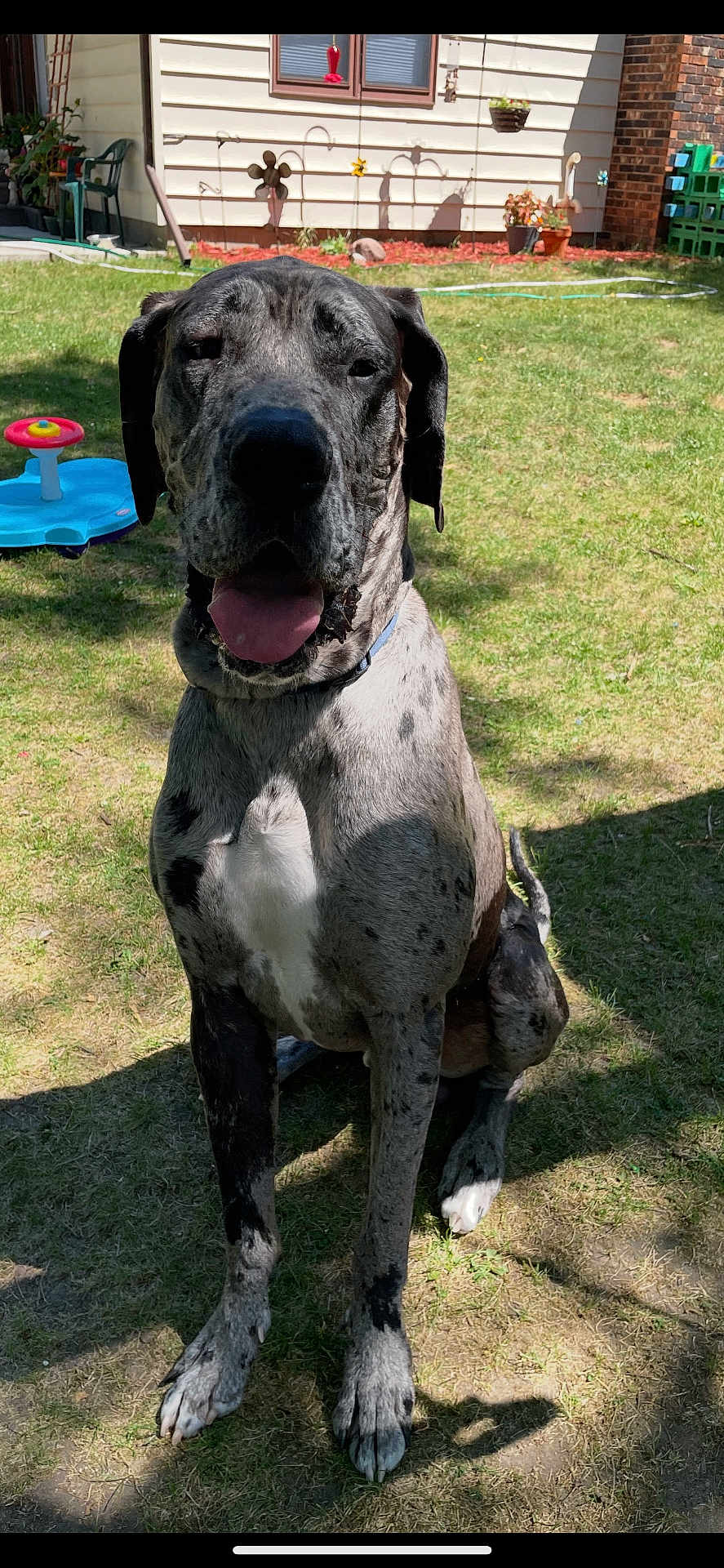 Duke