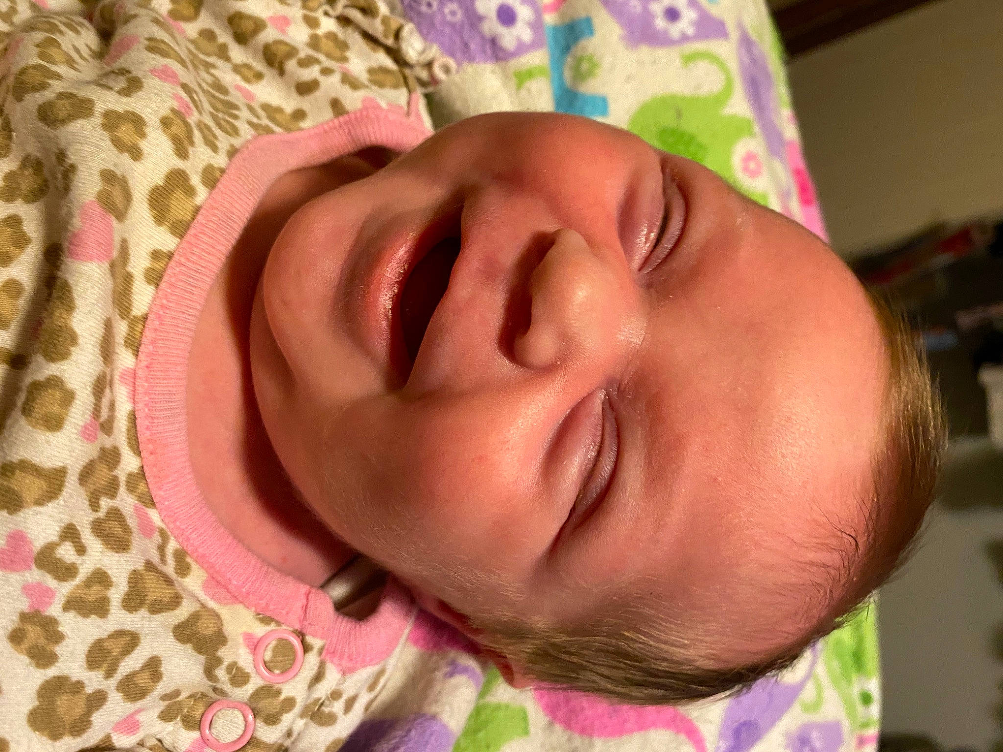 Karley joined the competition — help win amazing prizes! cheek, chin, ear, eye, eyebrow, eyelash, face, forehead, hair, happy, head, iris, lip, mammal, mouth, neck, nose, person, pink, skin