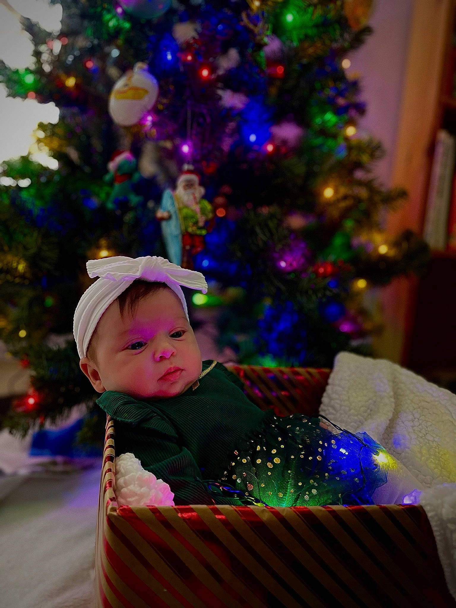 Clementine joined the competition — help win amazing prizes! christmas, christmas_decoration, christmas_ornament, christmas_tree, conifer, decoration, event, evergreen, fun, happy, holiday, holiday_ornament, light, magenta, ornament, person, plant, purple, toddler, tradition