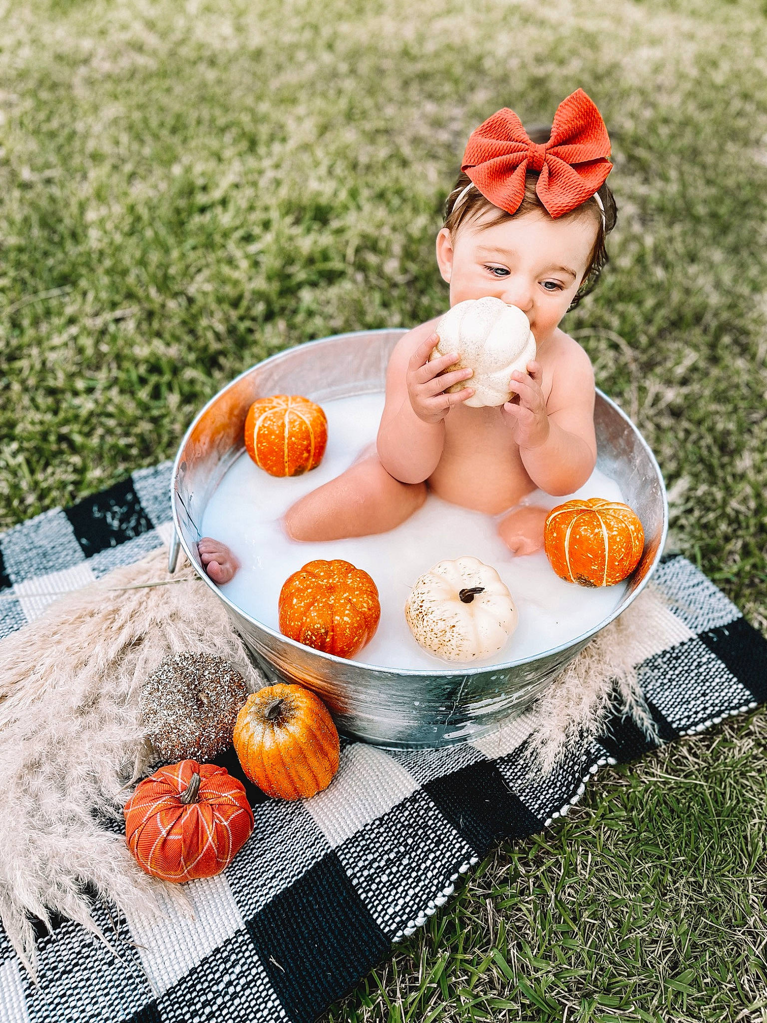 Jentry joined the competition — help win amazing prizes! abdomen, calabaza, cucurbita, doll, food, food_group, grass, happy, hat, lawn_ornament, natural_foods, orange, people_in_nature, person, picnic, plant, pumpkin, recreation, tableware, toy