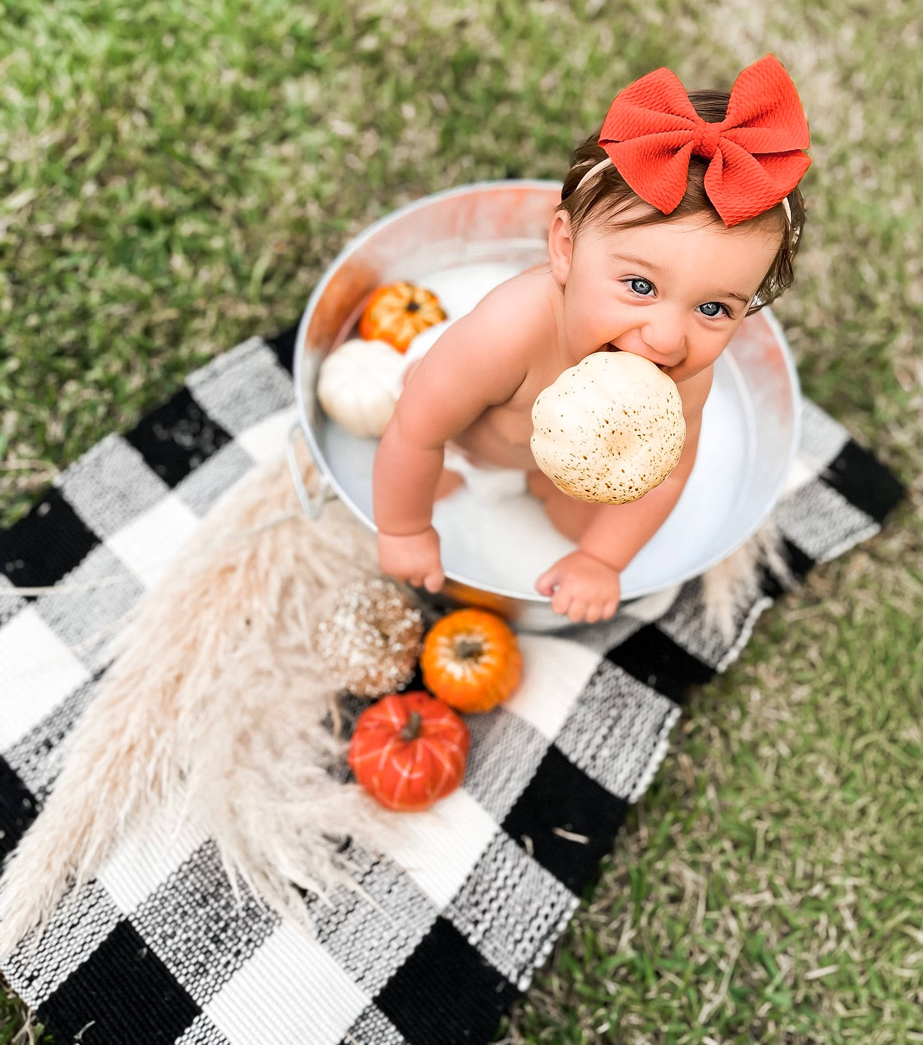 Jentry is registered to the contest to win money with this photo: baby, baby_toddler_clothing, basket, cap, child, fruit, grass, happy, hat, headwear, natural_foods, orange, pattern, person, plant, pumpkin, recreation, superfood, sweetness, tableware