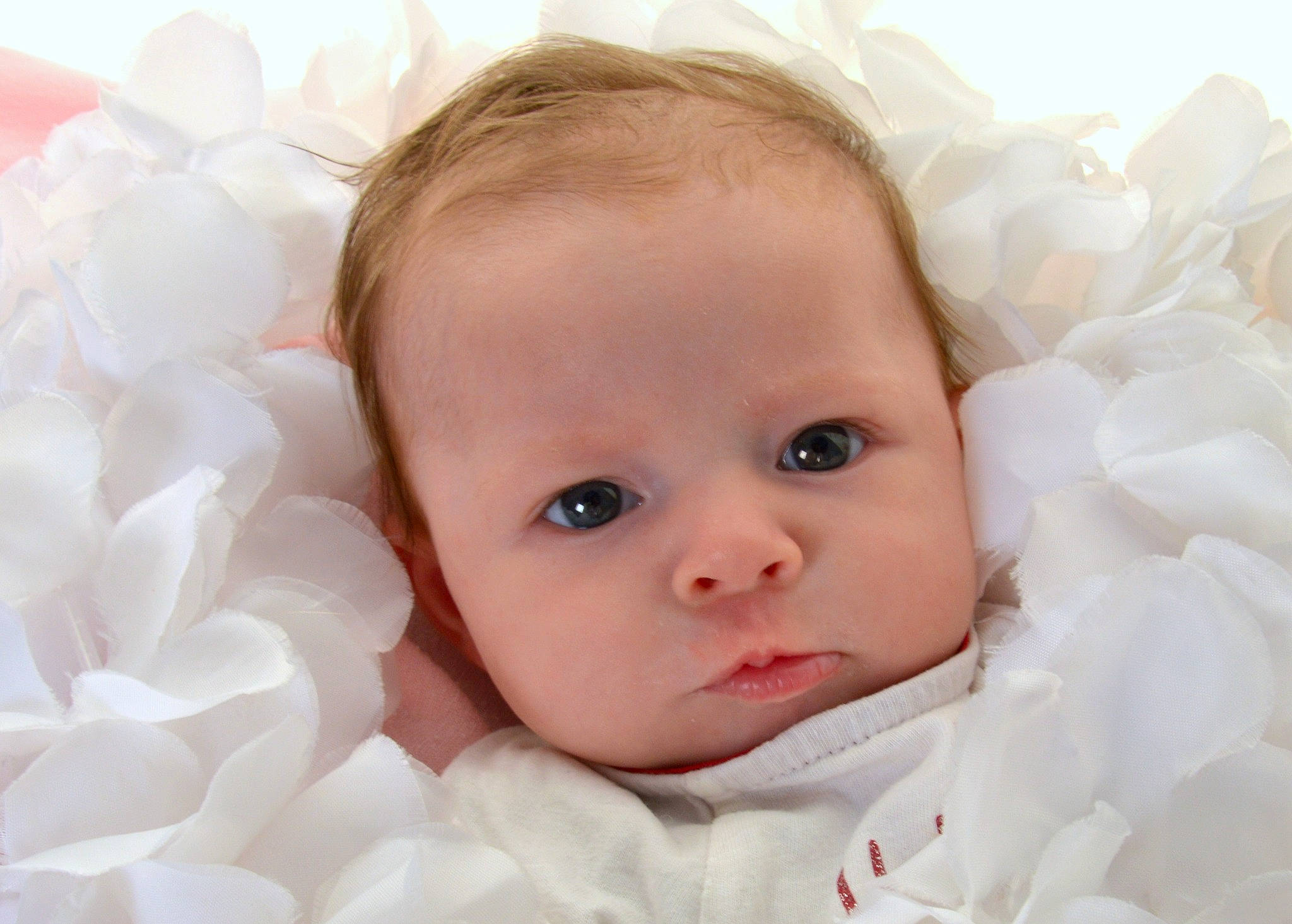 Jade a rejoint le concours — aidez-le/la à gagner de superbes lots ! baby, baby_toddler_clothing, cheek, child, comfort, eyebrow, eyelash, face, flash_photography, happy, head, iris, lip, person, petal, pink, skin, smile, textile, toddler