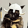 cat, tortoiseshell_cat, helmet, viking_helmet, pet, indoor, feline, fur, animal, cute, costume, funny, sitting, domestic_animal, whiskers, ears, face, closeup, portrait, household